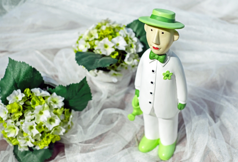 vente-ENTRECASTEAUX-min_man-person-flower-green-toy-fig-546529-pxhere.com